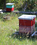 stack of red and pink painted bee hives sitting in the tall grass with more colorful beehives in the background